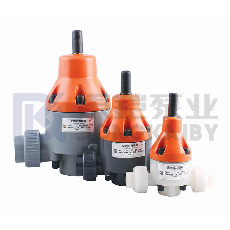 Safety Relief Valve for Back Pressure